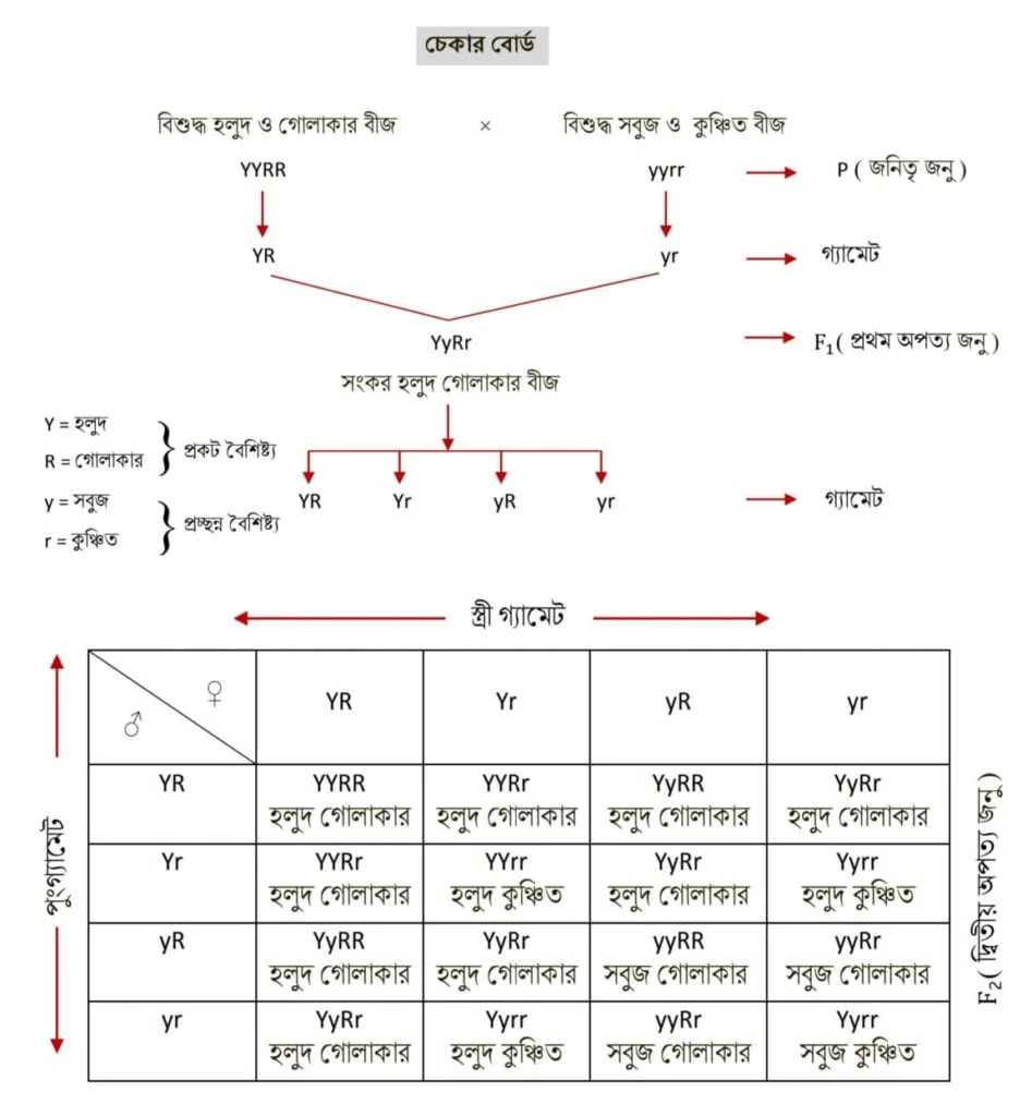 Class 10 Life Science Model Activity Task Part 8 Scr2