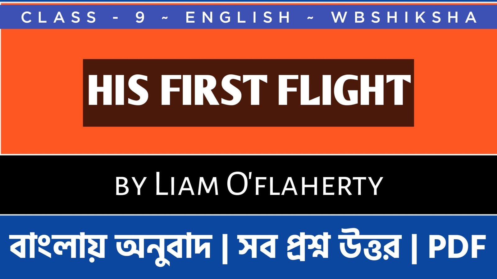 his-first-flight-liam-o-flaherty-class-9-questions-and-answers