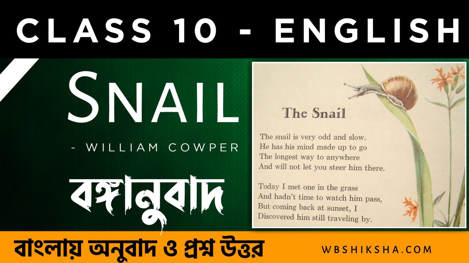 west-bengal-board-class-10-english-lesson-8-the-snail-solution-with